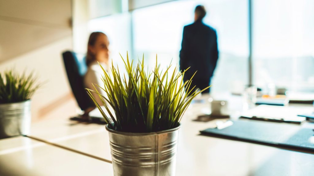 Live plant in a pot on a desk in an office with a blurred out woman sitting behind a desk and also a blurred out man in a suit looking out the window